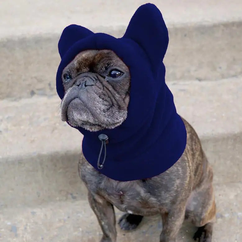 french bulldog hoodie warm hat